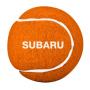 Image of Dog Synthetic Tennis Ball image for your Subaru